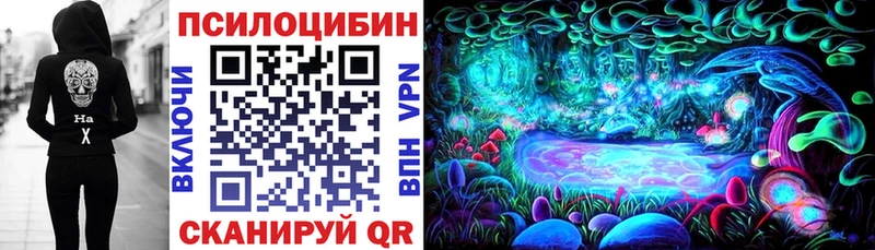 хочу   мега вход  Галлюциногенные грибы Psilocybine cubensis  Сим 
